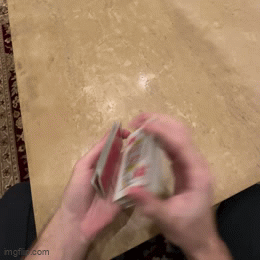 ๐ฒ 2-in-1 Automatic Card Shuffler & Dealer with Wireless Remotes